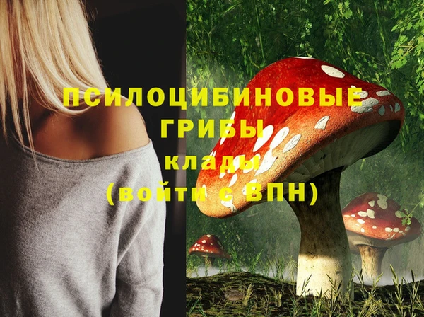 экстази Няндома