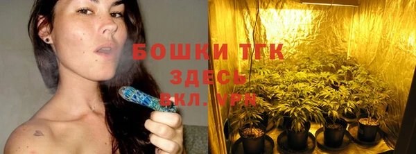 экстази Няндома
