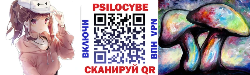 Псилоцибиновые грибы мицелий купить Чехов